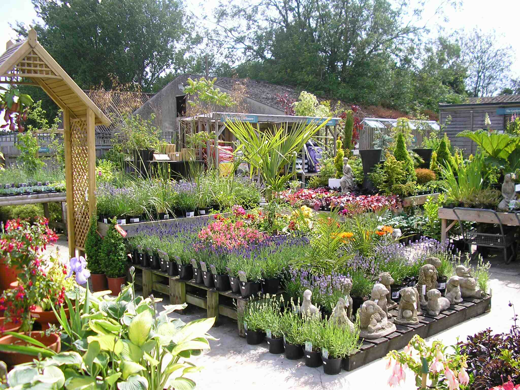 Plant area